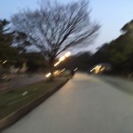 福岡ランナーの聖地、大濠公園を走ってきました〜♪
